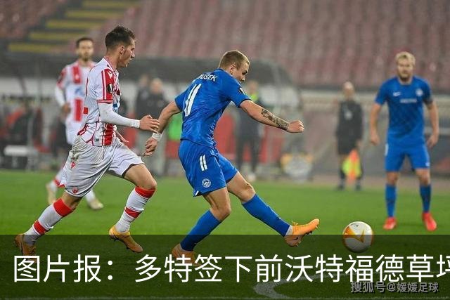 图片报：多特签下前沃特福德草坪主管，出任俱乐部场地管理负责人