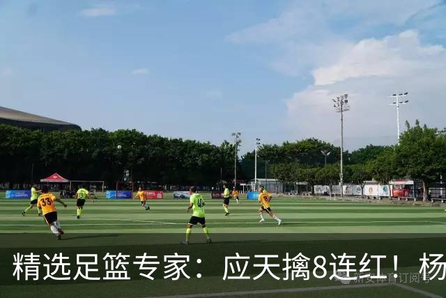 精选足篮专家：应天擒8连红！杨计7连红世杯4中4